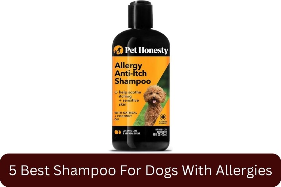 Pet Honesty Chlorhexidine Dog Anti-Itch Shampoo