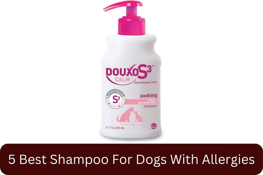 Douxo S3 Calm Shampoo For Dogs