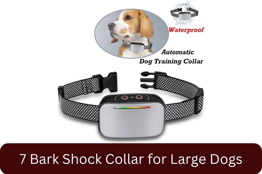 7 Bark Shock Collar for Large Dogs