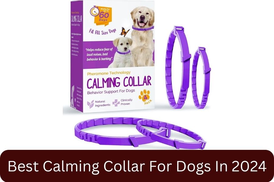 FILBA Calming Collar for Dogs