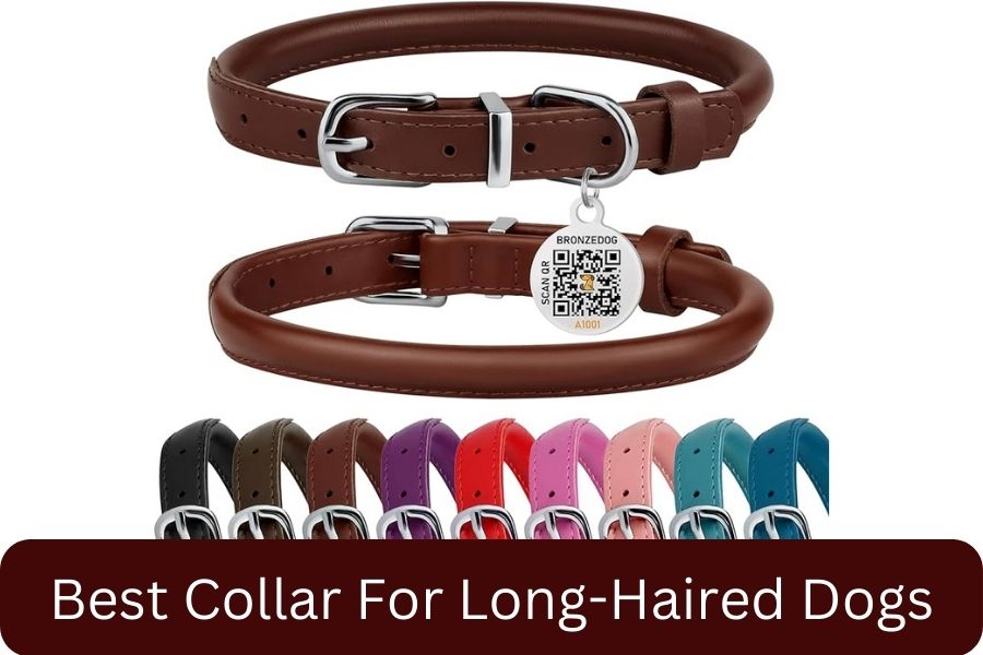 BRONZEDOG Rolled Leather Dog Collar