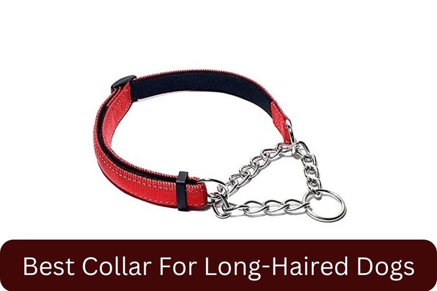 PUROAYET Martingale Collar for Dogs