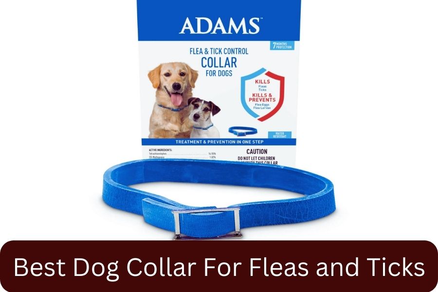 Adams Flea & Tick Collar for Dogs