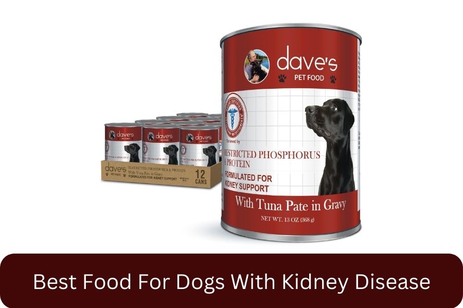 Dave's Pet Food Kidney Support for Dogs