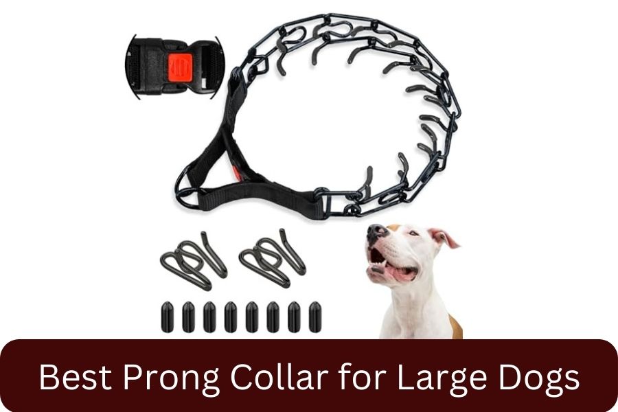 Supet Prong Collar for Dogs