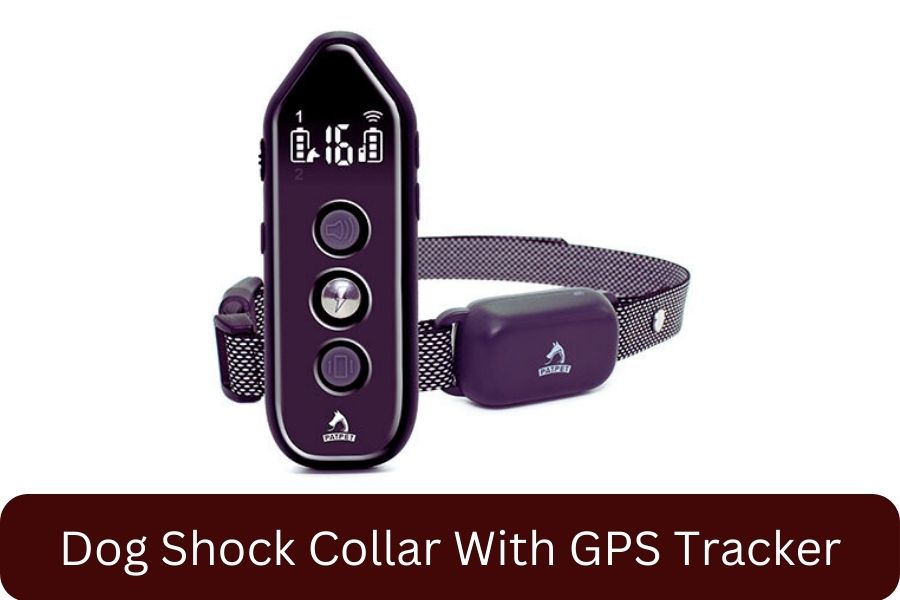 Dog Shock Collar With GPS Tracker