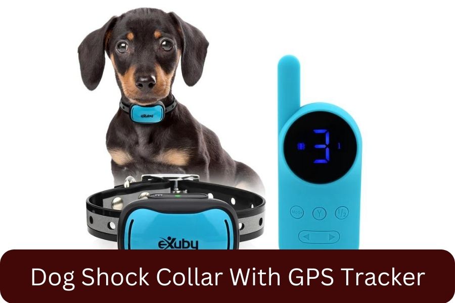 Dog Shock Collar With GPS Tracker