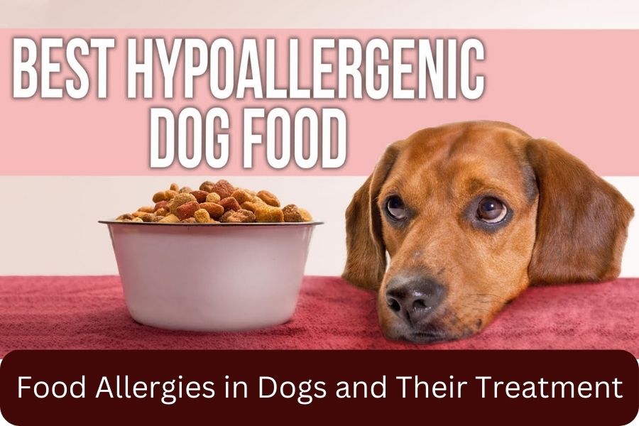 Food Allergies in Dogs and Their Treatment