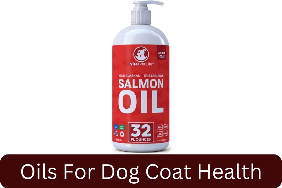 Vital Pet Life Fish Oil for Dogs