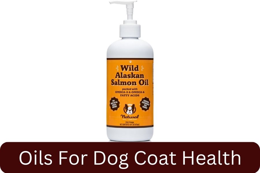 Natural Dog Company Pure Wild Alaskan Salmon Oil for Dogs