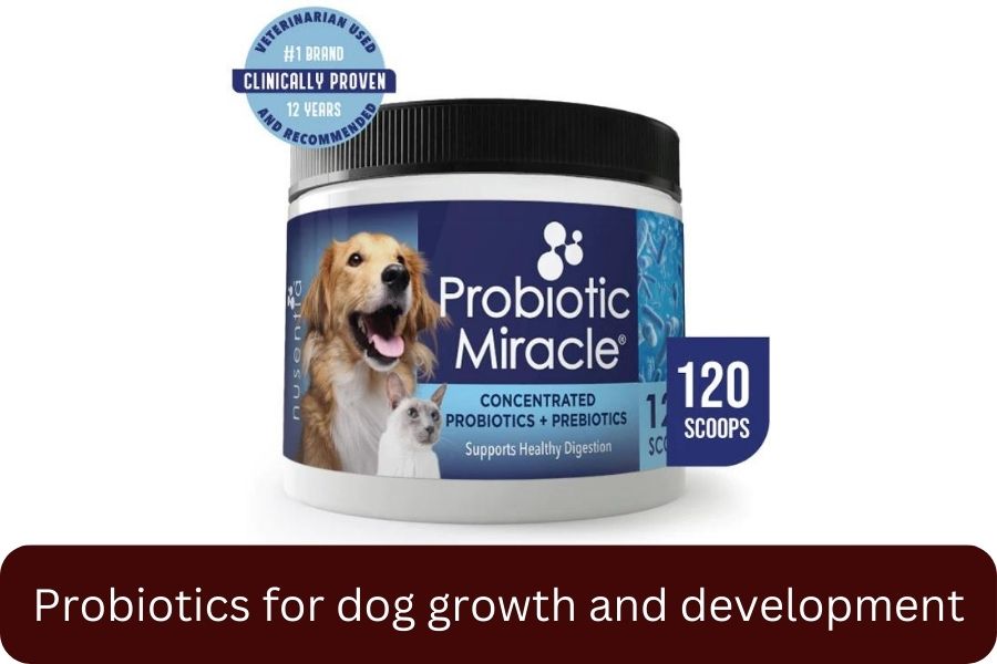 NUSENTIA Probiotics for Dogs