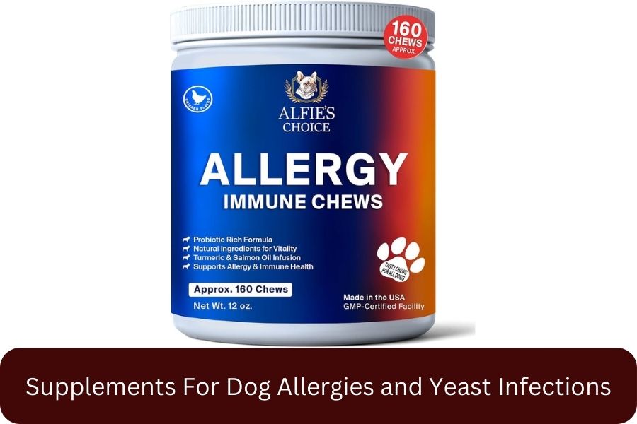 ALFIE'S CHOICE Dog Anti Itch & Allergy Relief Chews