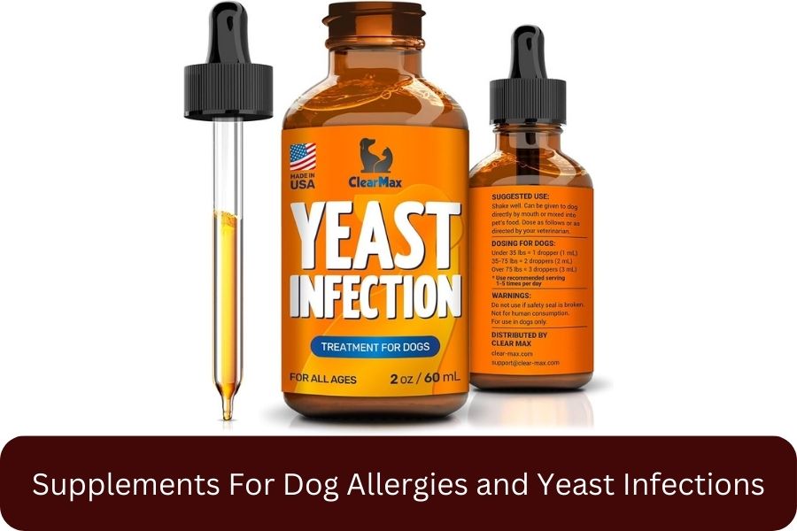 Chewy Max Natural Yeast Infection Treatment for Dogs