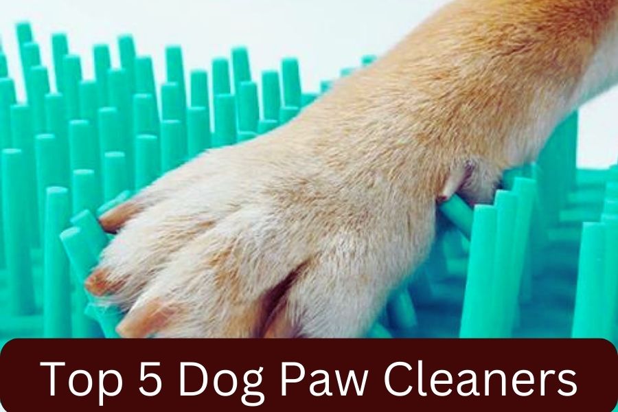 Top 5 Dog Paw Cleaners
